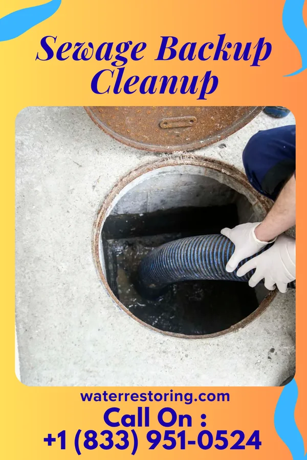 Sewage Backup Cleanup in Arcola, TX